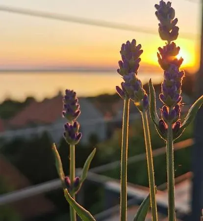Fantastic View To Balaton Fonyód
