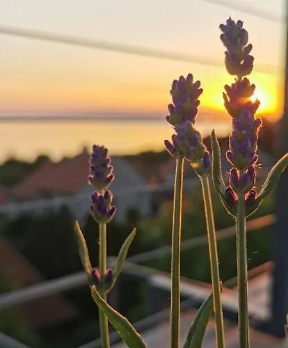 Fantastic View To Balaton Fonyód